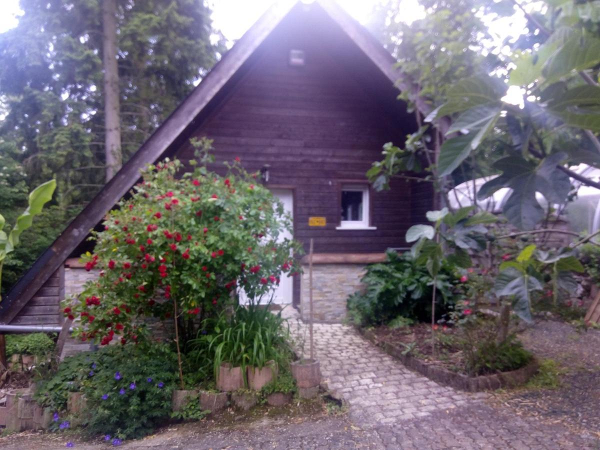 Maison Bois "Alaska" Rochecorbon Ngoại thất bức ảnh